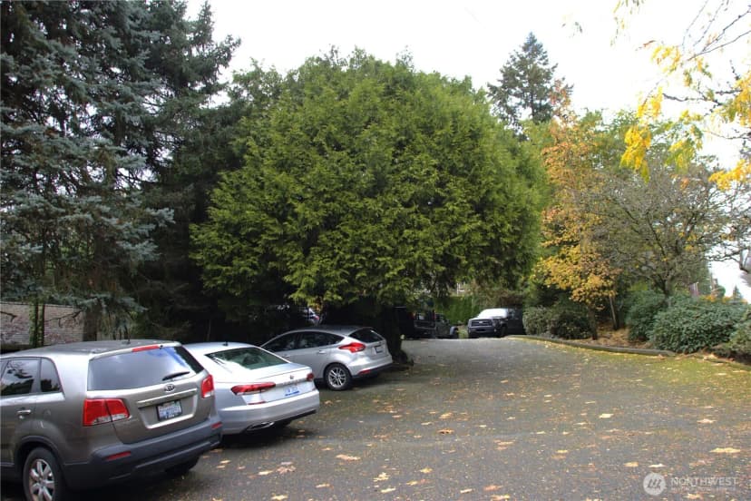 Property photo for 11644 Ne 80th Street, Kirkland photo 6