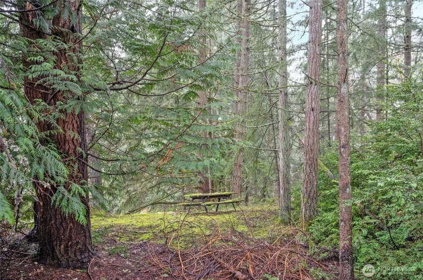 Property photo for 9806 Sari Lane, Gig Harbor photo 7