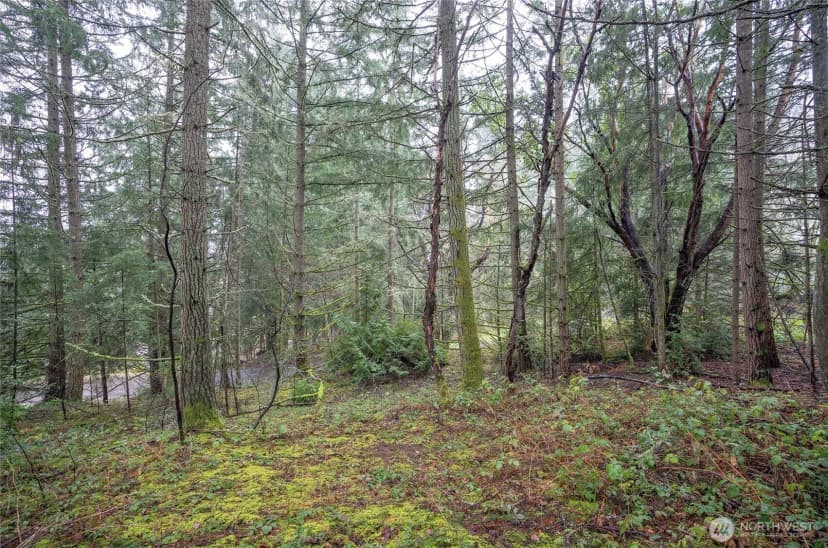 Property photo for 9806 Sari Lane, Gig Harbor photo 9