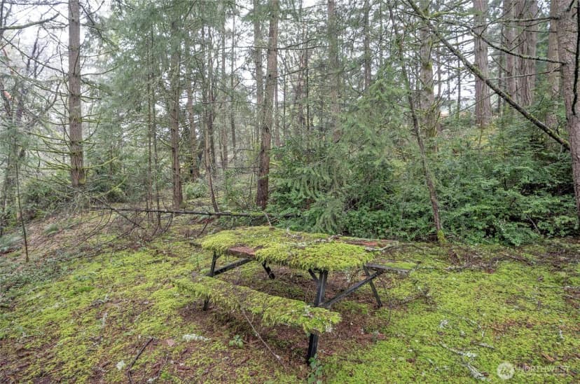 Property photo for 9806 Sari Lane, Gig Harbor photo 8