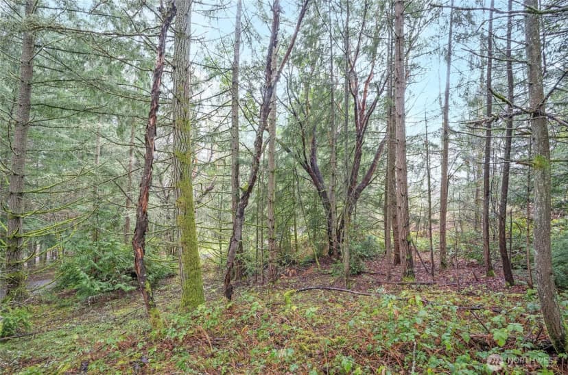 Property photo for 9806 Sari Lane, Gig Harbor photo 10