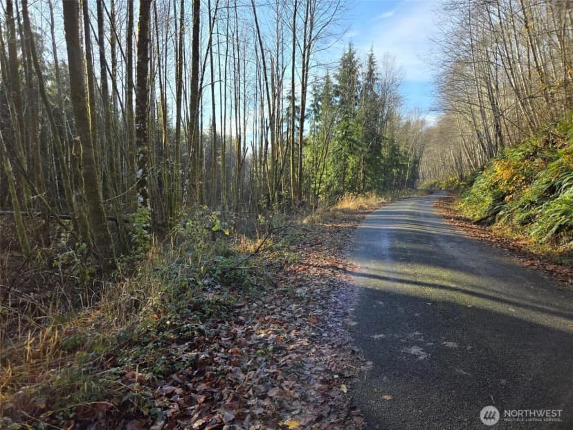 Property photo for 0 Nka Fall River Road, Cosmopolis photo 11