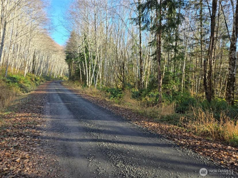 Property photo for 0 Nka Fall River Road, Cosmopolis
