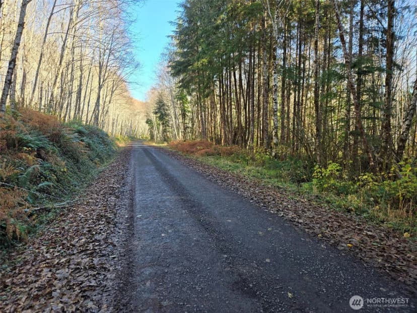 Property photo for 0 Nka Fall River Road, Cosmopolis photo 10