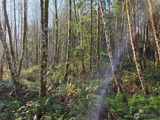 Property photo for 0 Nka Fall River Road, Cosmopolis photo 5