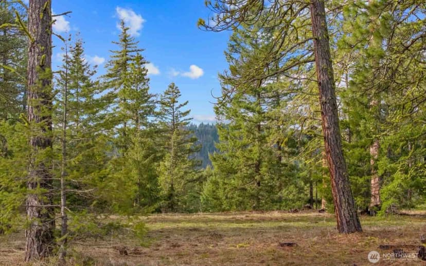 Property photo for 20 Wanawish Loop, Cle Elum photo 20