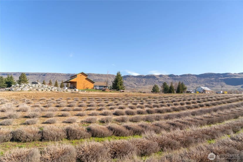 Property photo for 980 S Webb Place, East Wenatchee photo 6