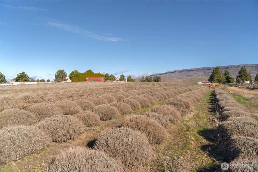 Property photo for 980 S Webb Place, East Wenatchee photo 39
