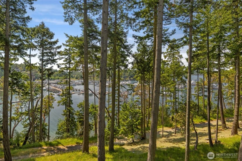 Property photo for 247 Afterglow Drive, Friday Harbor photo 36