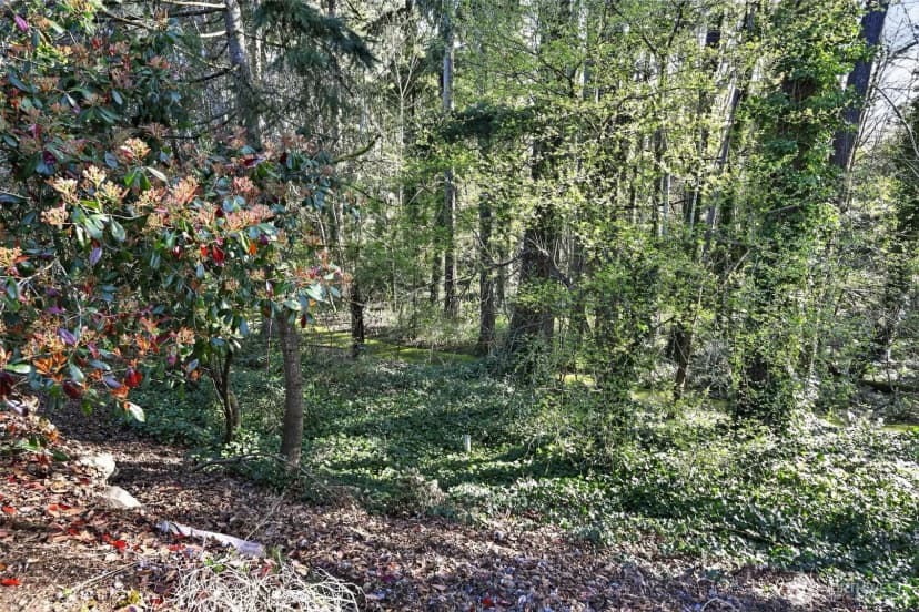Property photo for 25131 98th Place S #b110, Kent photo 23