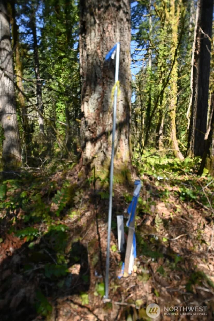 Property photo for 0 Old Cascade Hwy, Skykomish photo 6