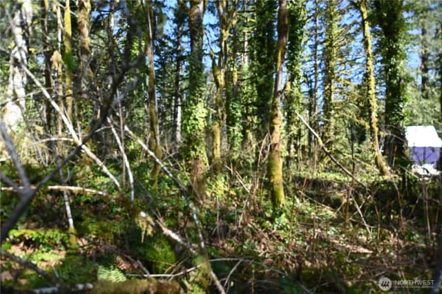 Property photo for 0 Old Cascade Hwy, Skykomish photo 5