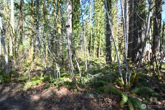 Property photo for 0 Old Cascade Hwy, Skykomish photo 4