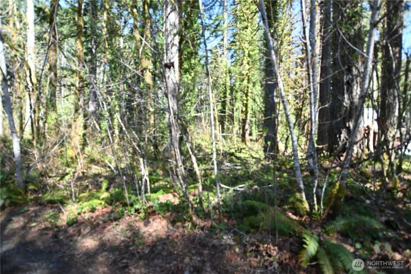 Property photo for 0 Old Cascade Hwy, Skykomish photo 4