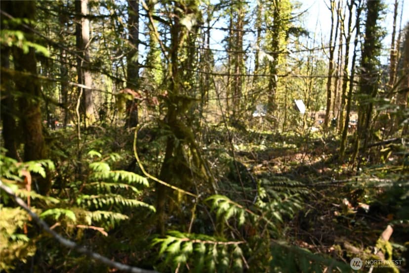 Property photo for 0 Old Cascade Hwy, Skykomish photo 8