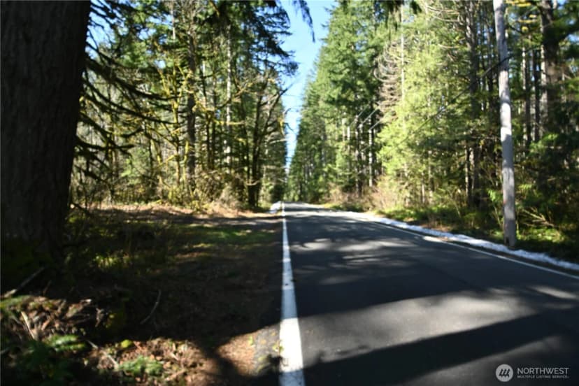 Property photo for 0 Old Cascade Hwy, Skykomish photo 2