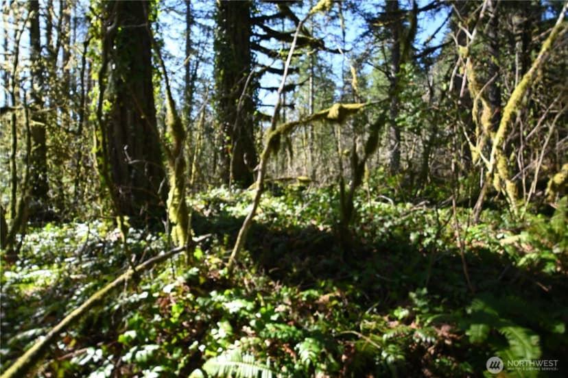 Property photo for 0 Old Cascade Hwy, Skykomish photo 10