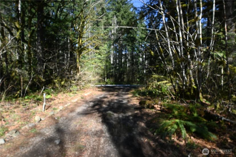 Property photo for 0 Old Cascade Hwy, Skykomish photo 9