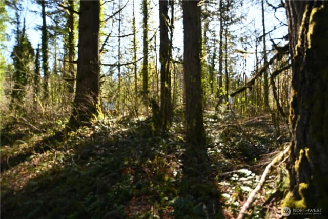 Property photo for 0 Old Cascade Hwy, Skykomish