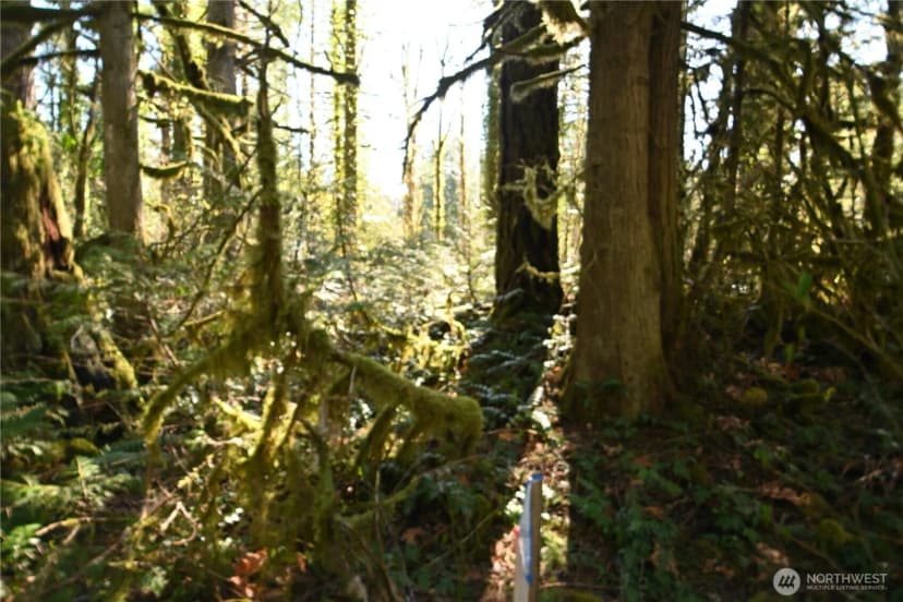 Property photo for 0 Old Cascade Hwy, Skykomish photo 7