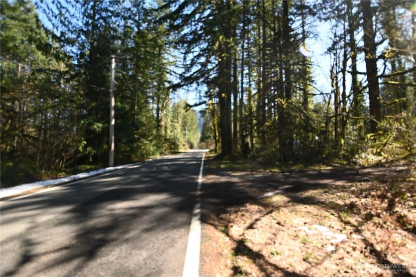 Property photo for 0 Old Cascade Hwy, Skykomish photo 14