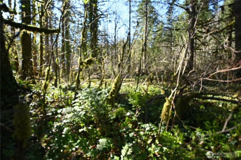 Property photo for 0 Old Cascade Hwy, Skykomish photo 11