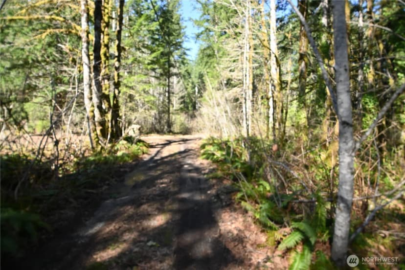 Property photo for 0 Old Cascade Hwy, Skykomish photo 15