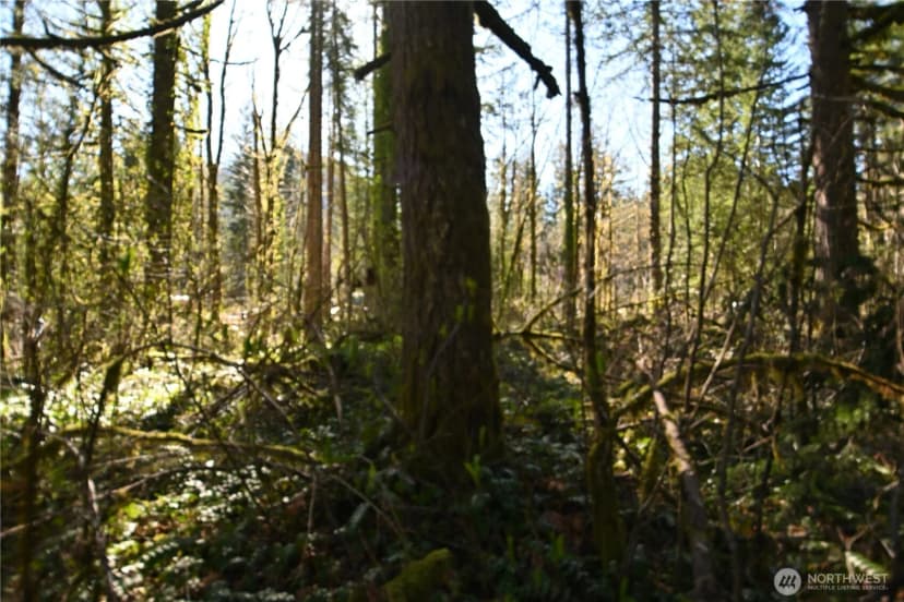 Property photo for 0 Old Cascade Hwy, Skykomish photo 13