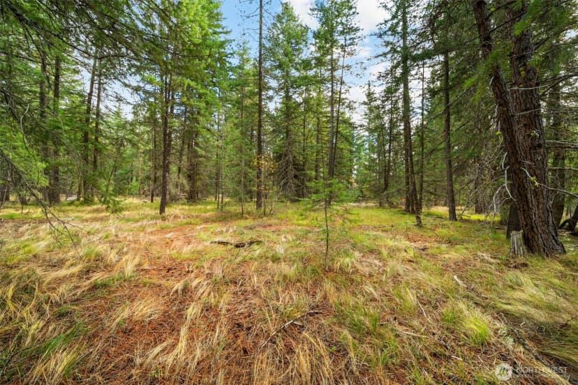 Property photo for 0 S Shugart Flats Road, Leavenworth photo 38