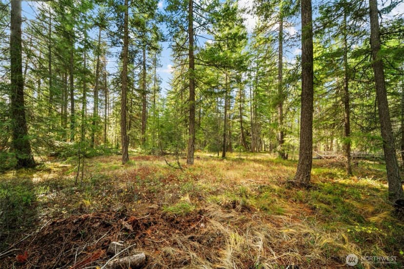 Property photo for 0 S Shugart Flats Road, Leavenworth photo 23