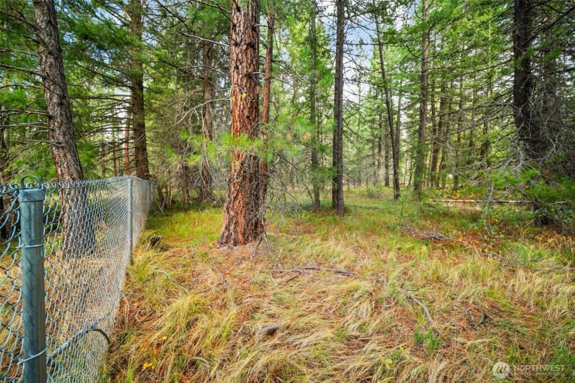 Property photo for 0 S Shugart Flats Road, Leavenworth photo 37