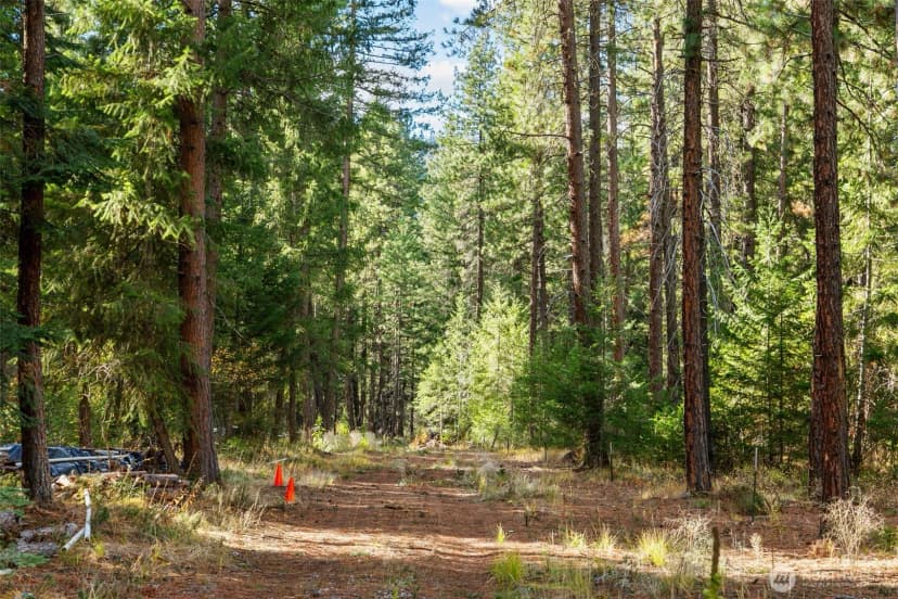 Property photo for 0 S Shugart Flats Road, Leavenworth photo 6