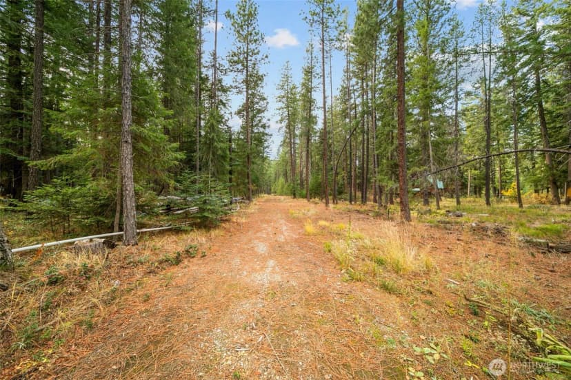 Property photo for 0 S Shugart Flats Road, Leavenworth photo 5