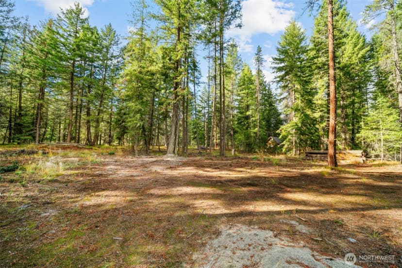 Property photo for 0 S Shugart Flats Road, Leavenworth photo 33
