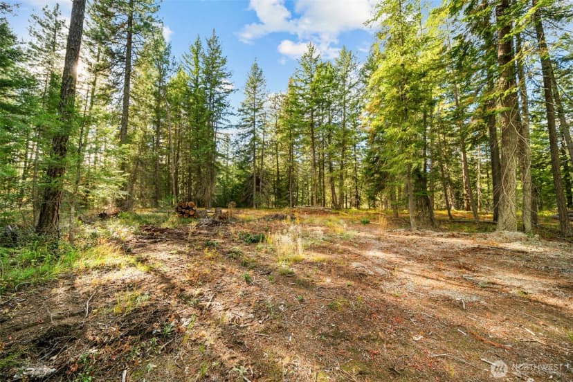 Property photo for 0 S Shugart Flats Road, Leavenworth photo 21