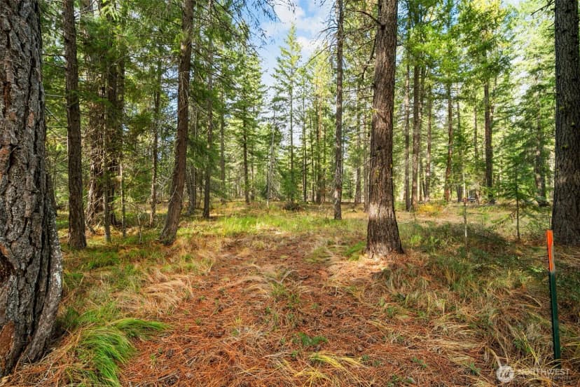 Property photo for 0 S Shugart Flats Road, Leavenworth photo 24