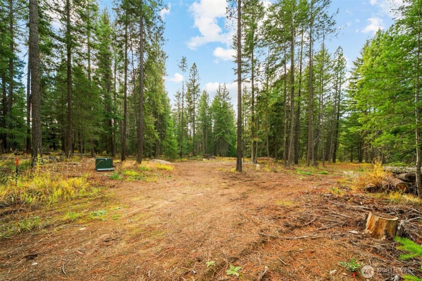 Property photo for 0 S Shugart Flats Road, Leavenworth