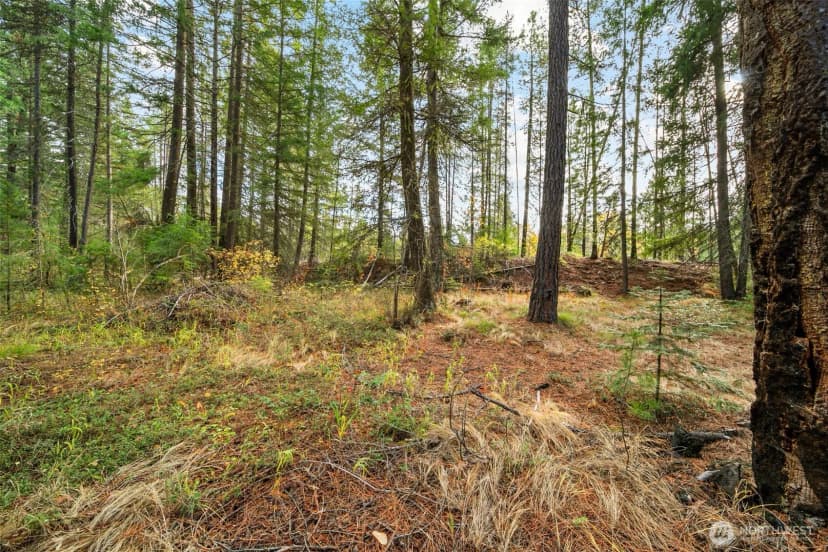 Property photo for 0 S Shugart Flats Road, Leavenworth photo 25