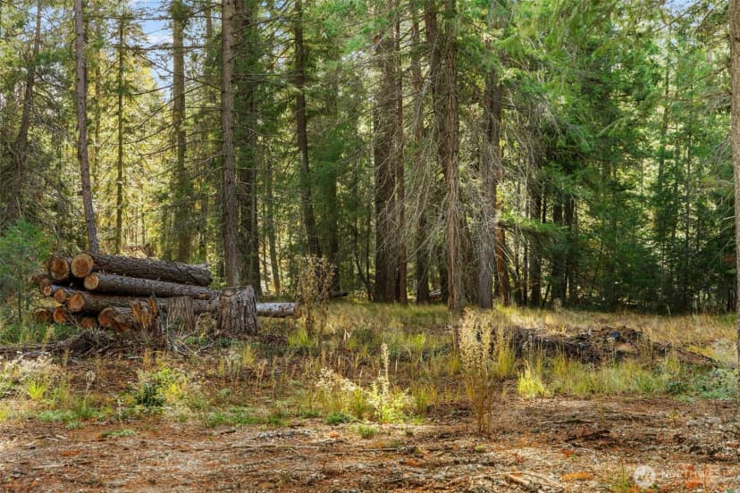 Property photo for 0 S Shugart Flats Road, Leavenworth photo 22