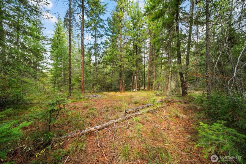 Property photo for 0 S Shugart Flats Road, Leavenworth photo 35