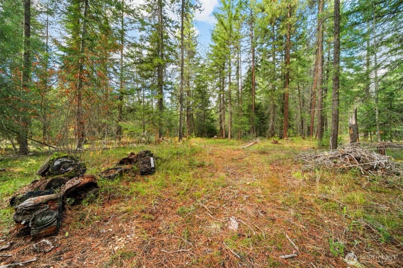 Property photo for 0 S Shugart Flats Road, Leavenworth photo 34
