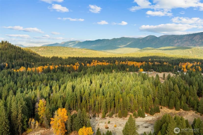 Property photo for 0 S Shugart Flats Road, Leavenworth photo 12