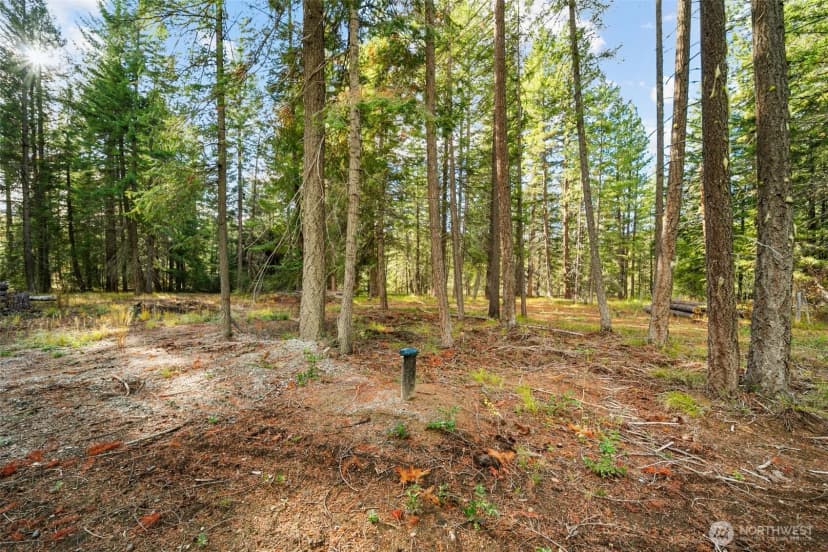 Property photo for 0 S Shugart Flats Road, Leavenworth photo 19