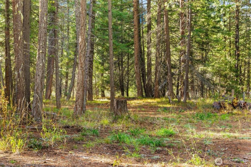 Property photo for 0 S Shugart Flats Road, Leavenworth photo 26