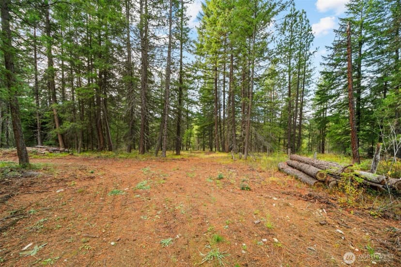 Property photo for 0 S Shugart Flats Road, Leavenworth photo 3