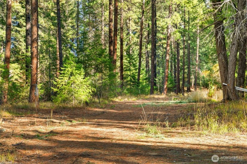 Property photo for 0 S Shugart Flats Road, Leavenworth photo 32