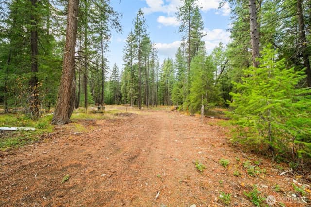 Property photo for 0 S Shugart Flats Road, Leavenworth photo 4