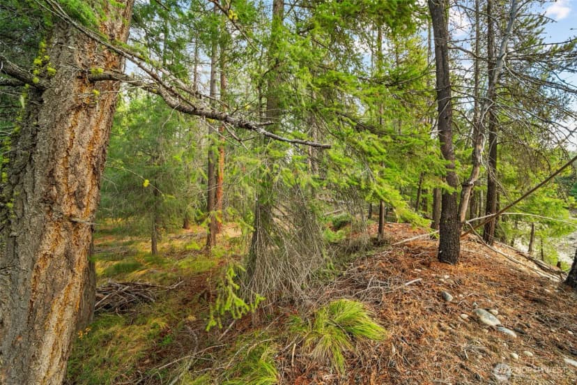 Property photo for 0 S Shugart Flats Road, Leavenworth photo 36