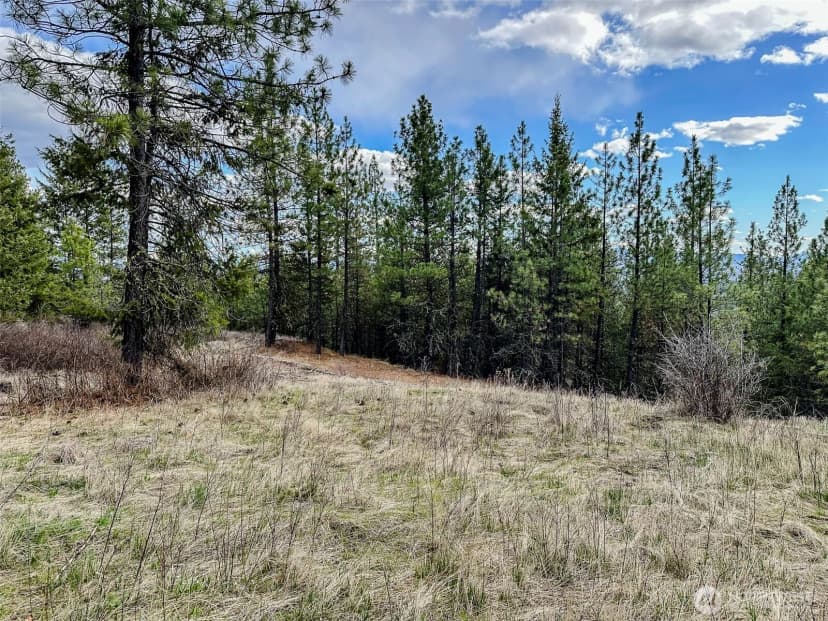 Property photo for 817 Dominion Springs Way, Colville photo 32