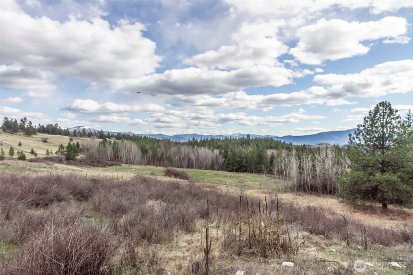 Property photo for 817 Dominion Springs Way, Colville photo 23